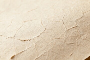 Fototapeta premium Close-up of Crumpled Recycled Paper Texture
