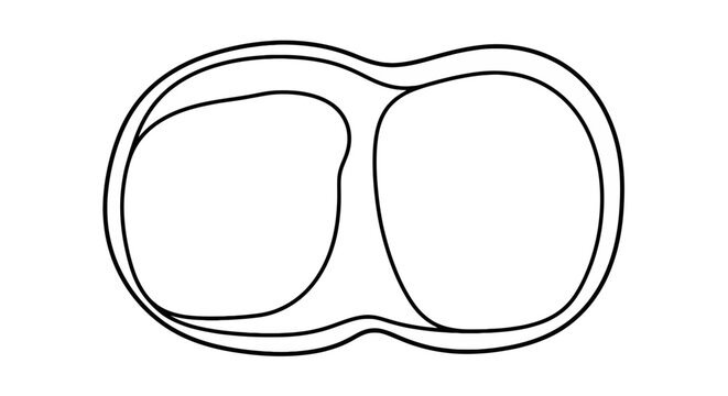 Simple black outline of double organic shapes
