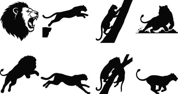 Collection of wild big cat silhouettes including roaring lion leaping cougar jumping panther and running cheetah isolated on white background