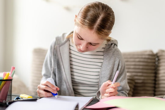 Girl Doing Homework At Home