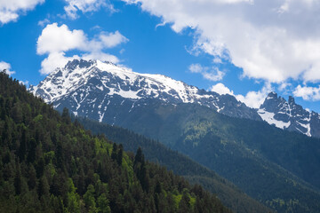 Obraz premium Snow-covered peaks tower over dense green forests beneath a clear blue sky with fluffy clouds, creating a picturesque mountain landscape