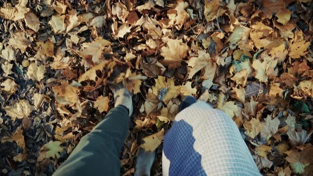 Hikers Walking On Golden Autumn Fallen Leaves. Dry Maple Foliage In Forest Park. Journey Exploration 