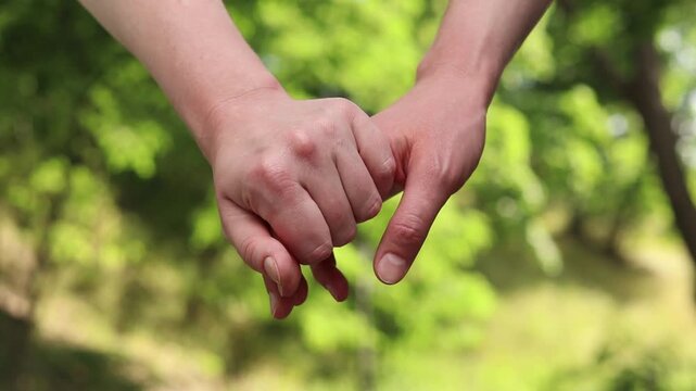 Close-up of two women's hands holding each other. Two women holding hands against a background of nature. A symbol of trust, tenderness and LGBT relationships. Concept of love and equality
