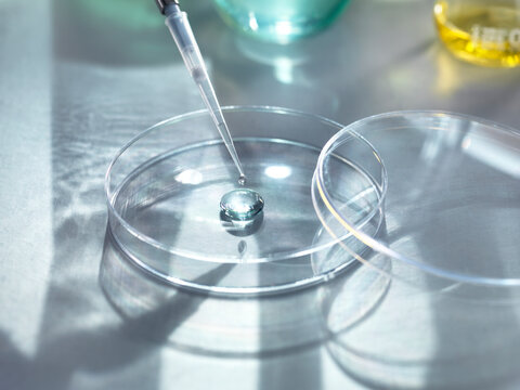 Close-up of medical samples pipetting in petri dish for experiment at laboratory