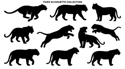 Wild big cat and tiger silhouette vector collection featuring black jungle predators running jumping standing and roaring shapes © Kulsum