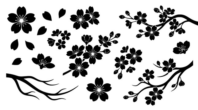 Japanese sakura cherry blossom branch silhouette vector collection featuring black oriental floral elements twigs and falling petals