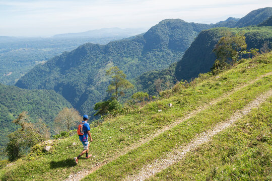 Hiker walking along a lush green mountain trail