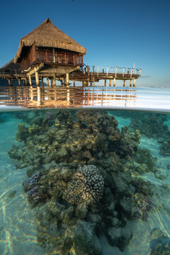 Tropical overwater bungalow above a coral reef
