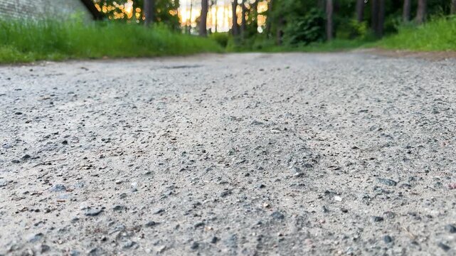 Low angle view of gravel road at sunset through green forest, texture of rural path and natural background
