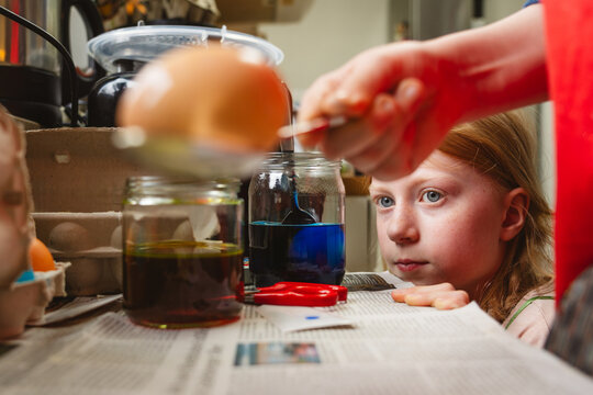 Girl watching Easter egg coloring in the kitchen