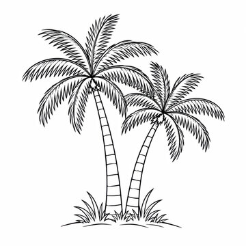 Black and white hand drawn sketch of two tropical palm trees in a simple art style
