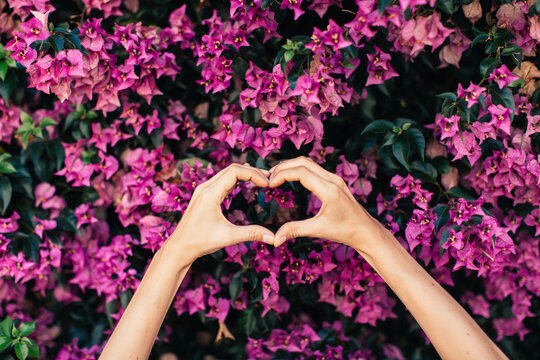 Woman's hands shaping heart in front of pink blossoms