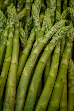Close up of fresh green asparagus spears