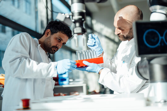 Scientist analyzing test tube with robot in laboratory