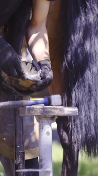 Blacksmith hammer horseshoe with anvil and try on hoof
