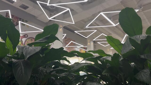 Tropical Green Plants in Modern Shopping Mall Interior. Close-up video of lush tropical green plants inside a modern shopping mall. Contemporary interior featuring decorative foliage