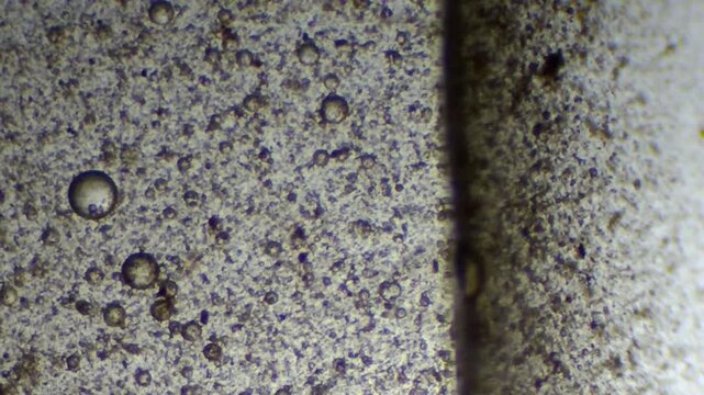 Microscopic view of contaminated ISO VG 46 oil with a distinct dividing line and rust particles

