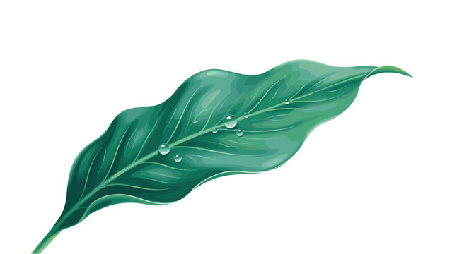 A single green leaf with water droplets presented as a detailed vector silhouette leaves foliage botanical verdant plant flora nature
