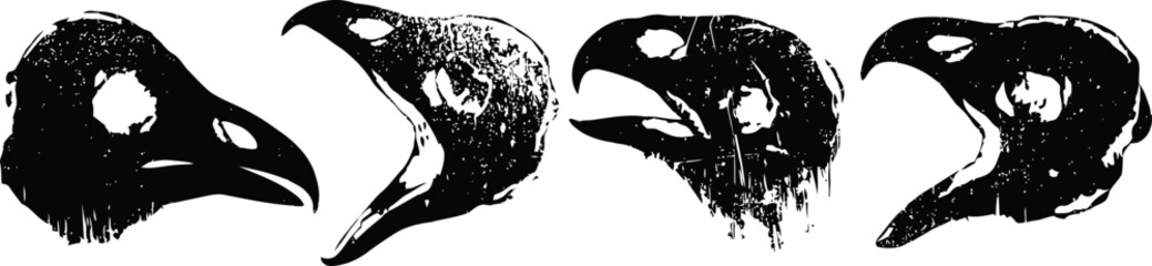 Obraz premium Four black raven heads in different poses showing detailed beak and eye features