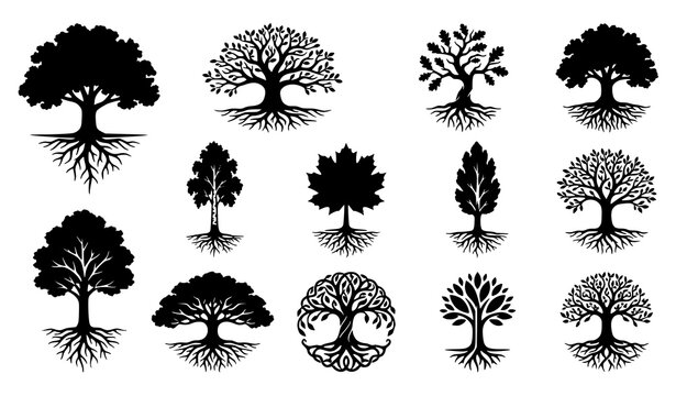 Black tree with roots silhouette vector set featuring nature growth ancestry and ecological symbolism isolated on white background