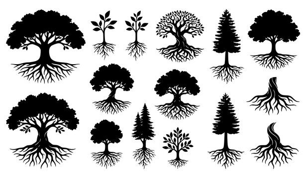 Isolated tree with roots silhouettes vector collection featuring natural growth ecology and ancestry symbols on white background
