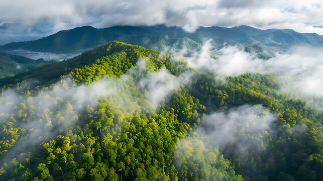 Lush green mountain peaks covered in thick white morning mist captured from an aerial perspective during a bright summer day