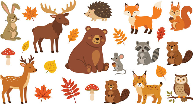 Cute woodland animal cartoon character vector sticker set with forest creatures autumn leaves and mushroom elements