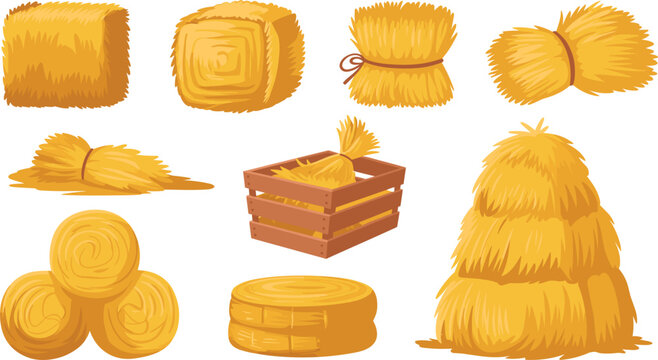 Flat Style Farm Hay Bale Vector Set Featuring Round Square Stacked And Bundled Golden Straw Bales With Wooden Crate For Agriculture Harvest And Rural Farm Design