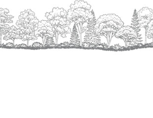 Fototapeta premium Forest landscape border with various deciduous and coniferous trees in a hand drawn sketch style for nature design projects