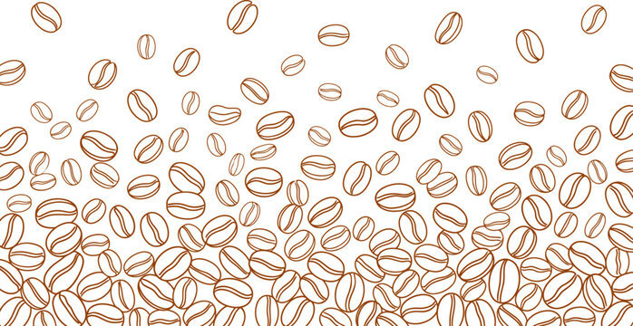 vector illustration of coffee bean background on white background. sketch of coffee beans. Hand drawn coffee beans vector.