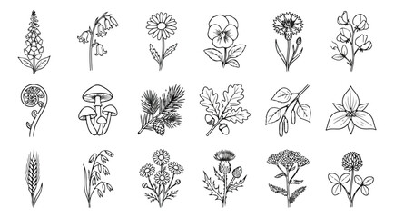 Vintage botanical line art collection, 18 hand drawn wildflower and forest plant icons, black and white floral vector illustrations for wedding stationery © Muhammad