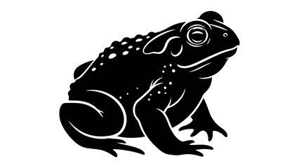 Toad Silhouette: A striking black silhouette of a toad, with detailed texture and large eyes, poised on a plain background. © mahmuda428