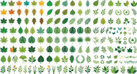 Green leaves vector icons set with tropical monstera fern maple oak foliage and eco nature elements collection © Sukhi