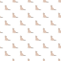 Fototapeta premium Cute siamese cats sitting in a repetitive pattern for textile design or wallpaper