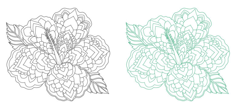 An intricate hibiscus mandala coloring page for adults. Detailed tropical floral line art with varying black and green outlines. Perfect for stress-relieving coloring books and KDP.