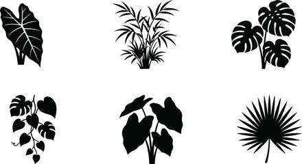 Tropical Plant and Monstera Leaf Silhouette Set for Botanical Vector Collection © MSTNASRIN