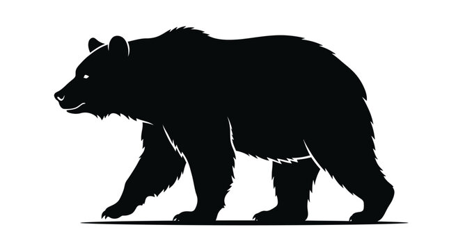 Black bear walking on ground.