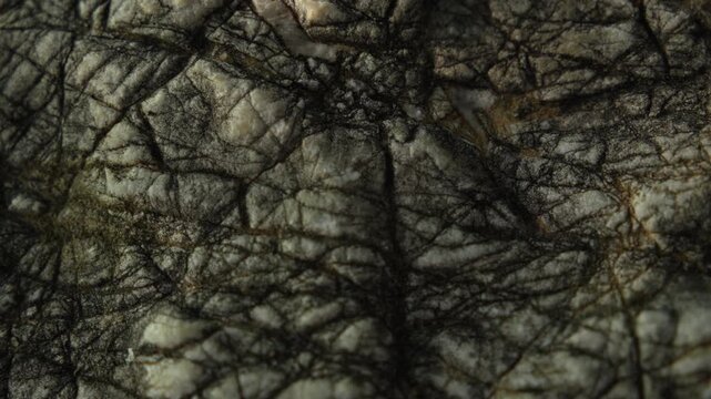 Weathered stone texture with rugged mineral pattern