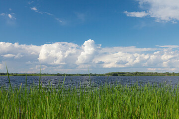 Obraz premium Sunny summer landscape with river and field
