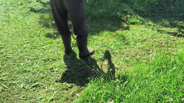 Trimming Vibrant Lush Green Grass with a String Trimmer - Lush Summer Background