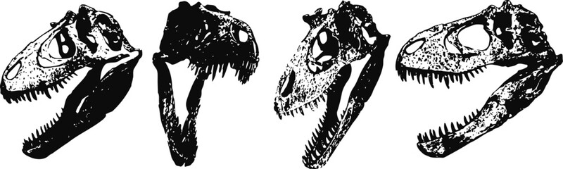 Fototapeta premium Four detailed dinosaur skull illustrations showing different angles and anatomical features of prehistoric reptiles