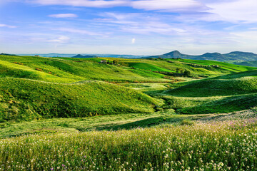 Fototapeta premium green flowering spring hills in rustic valley with rural road among blossoming grasslands leadung far away to a sunset cloudy sky above horizon