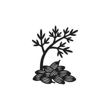 Fennel seed silhouette icon vector flat design.