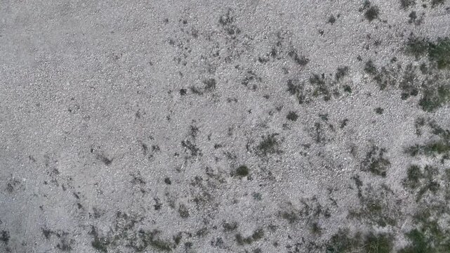 Terreno roccioso con ghiaia e vegetazione sparsa, tipico di un ambiente secco o semi‑arido, caratterizzato da texture naturali e piante resistenti