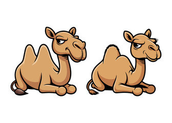 Fototapeta premium Cute Sitting Camel Cartoon Characters 