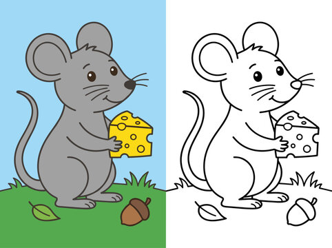 Cute gray mouse holding a piece of cheese with nature elements. Coloring book or page with colored example.