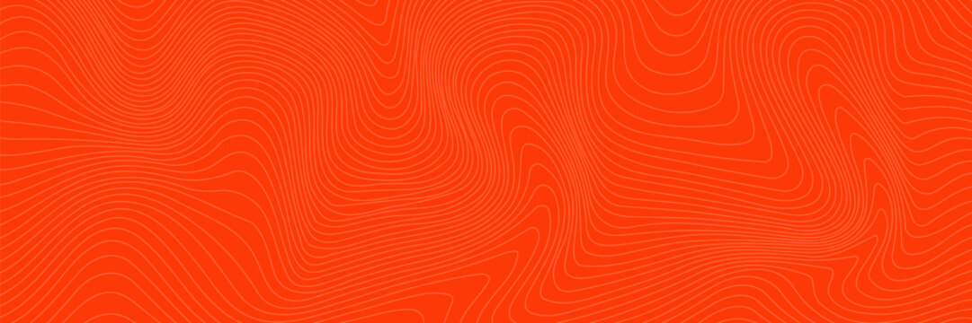 Abstract orange salmon meat texture background. Fresh fish fillet pattern with white topographic contour lines.