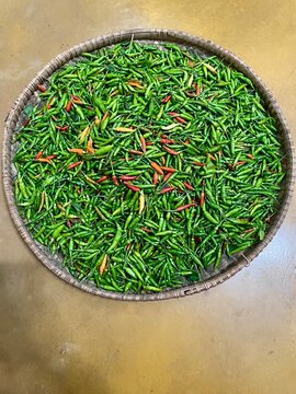 fresh green bird's eye chili pappers on traditional woven bamboo tray