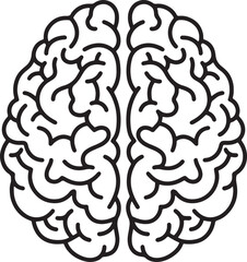 Naklejka premium Human brain with detailed anatomical folds and lobes isolated on a white background, for medical, educational, and psychological concepts, also transparent background