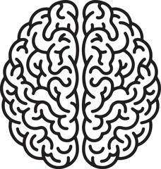 Fototapeta premium A black and white line of a human brain, showing the two hemispheres with detailed folds and gyri, isolated on a white background, also transparent background